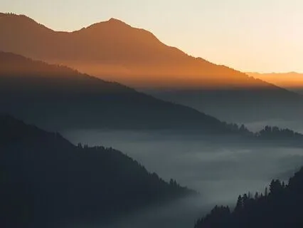 Morning Motivation: Embrace Your Shadows, Find Your Peace