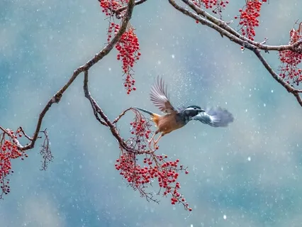 Morning Motivation: Inspiring Rain