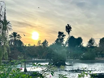 Morning Motivation & Intention Setting