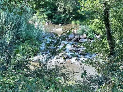 Morning Motivation Manifestation Power Mantra