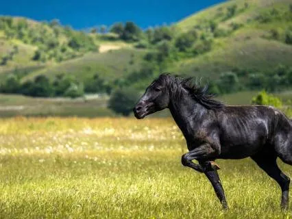 Morning Motivation: Step Into Your Day With Energy & Purpose