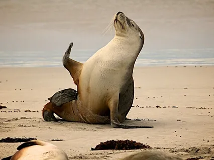 Morning Motivator Meditation