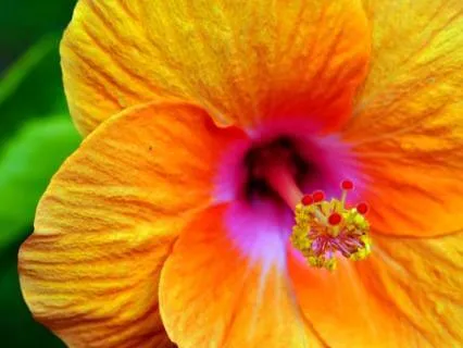 Morning Movement & Breath: All Is Well