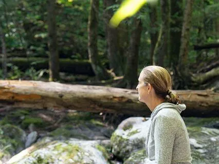 Morning Movement Meditation