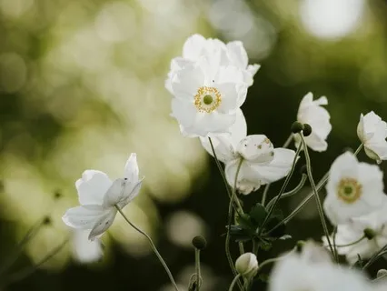 Morning Movement & Mindfulness Practice