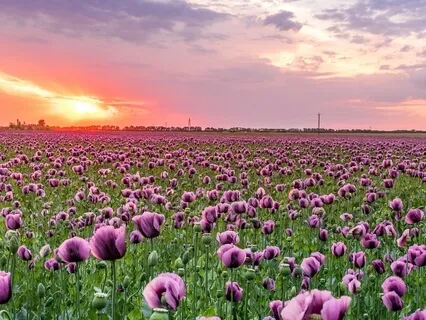 Morning Music - Inner Peace - Relaxing