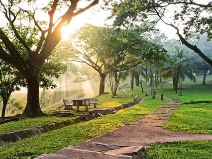 Morning Music To Start The Day