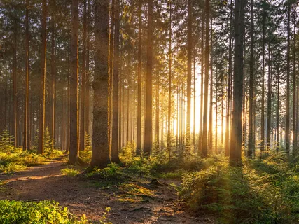 Morning Musical Meditation - Breathe In Breathe Out