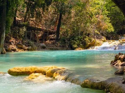 Morning One Bird, Close And Personal