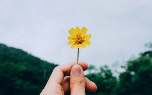 Morning Optimism Affirmation Meditation