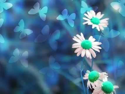 Morning Peace and Grace