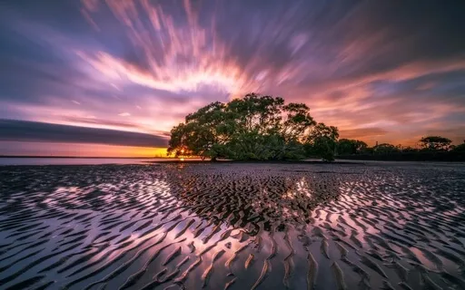 Morning Peace (Guitar)