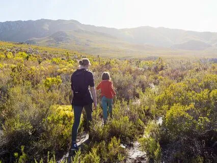 Morning Peace: Start Your Day Stress-Free