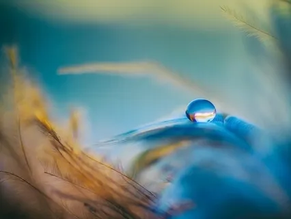 Morning Peacefulness