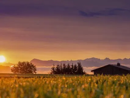 Morning Poem: A Gentle Beginning