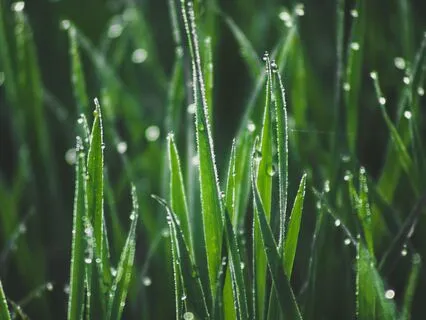 Morning Poem: Begin Again