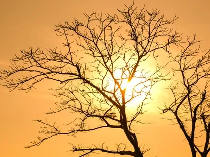 Morning Positive Affirmations