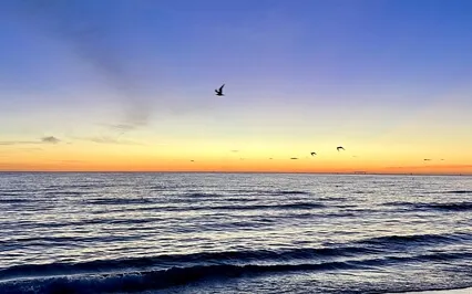 Morning Potential & Possibility