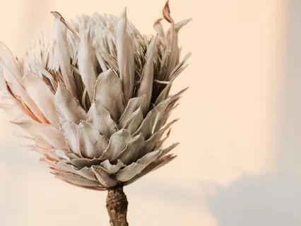 Morning Power Meditation