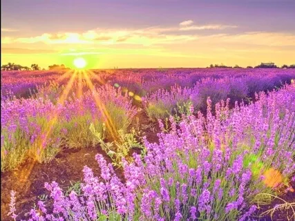 Morning Practice For Clarity (With Shamanic Drums & Quantum Healing)