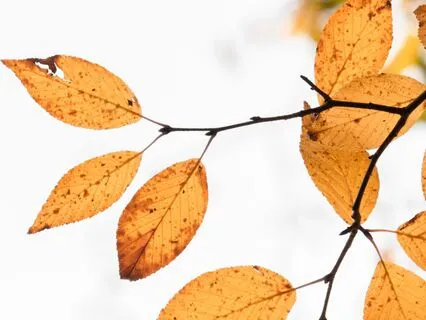 Morning Practice: Greet Your Day With Harmony