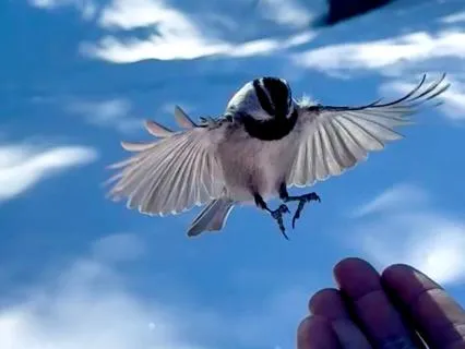 Morning Practice: Meditation To Manifest An Amazing Day