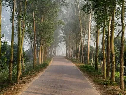 Morning Practice: Raga Relaxation Gentle Music