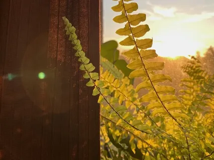 Morning Practice To Begin A Successful Day (Improved Sound)