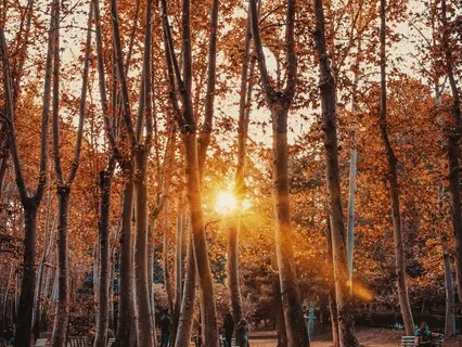 Morning Practice To Begin A Successful Day