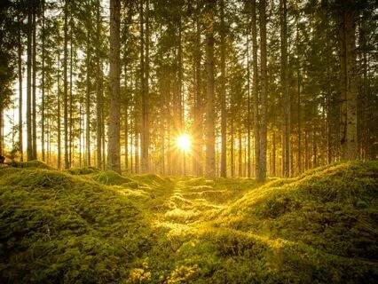 Morning Practice To Raise Your Vibration