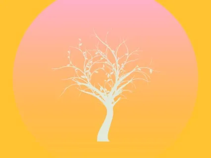 Morning Practice With Affirmations