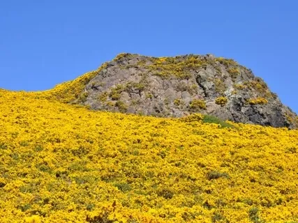 Morning Practice With Affirmations For Joy & Optimism