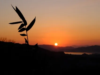 Morning Prayer - A Live Affirmative Prayer