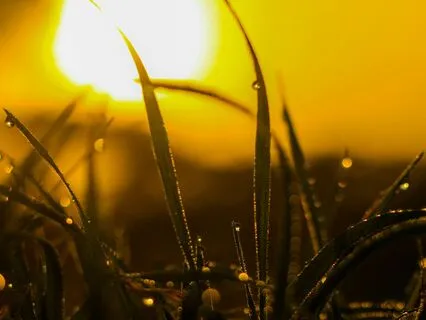 Morning Prayer Before You Start Your Day