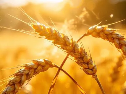 Morning Prayer: Embracing Light, Love & Joy Each Day