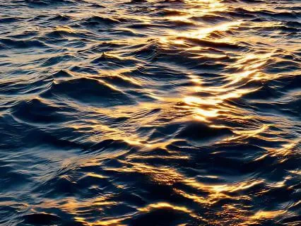 Morning Prayer: Fill My Day With Glory