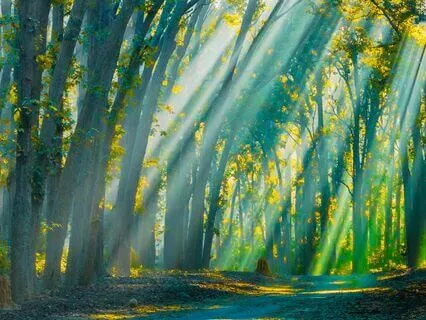 Morning Prayer For Anxiety