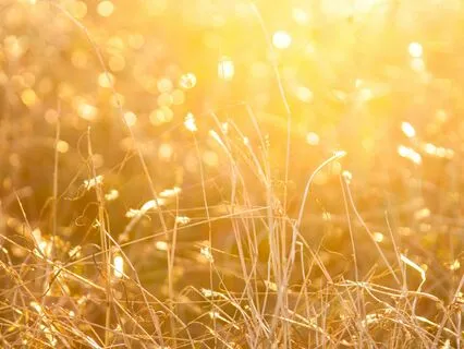 Morning Prayer For Financial Miracles