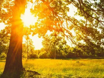 Morning Prayer For God's Protection