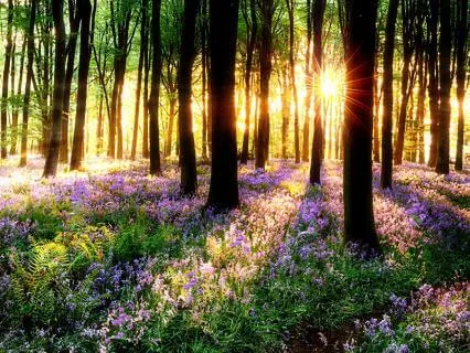 Morning Prayer For Healing