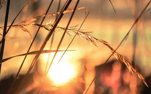 Morning Prayer For Spiritual Entrepreneurs 