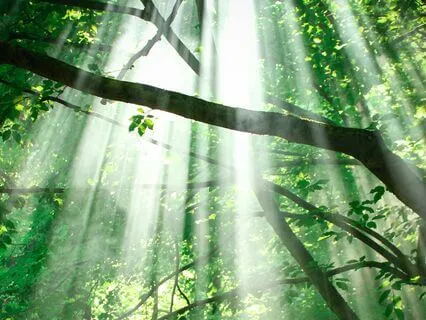 Morning Prayer For Inner Strength And Healing