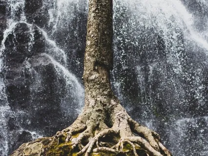 Morning Prayer For The Root Chakra