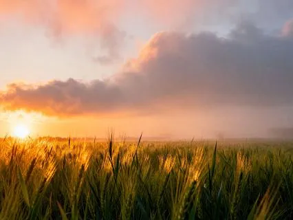 Morning Prayer: Let Go And Lean On God
