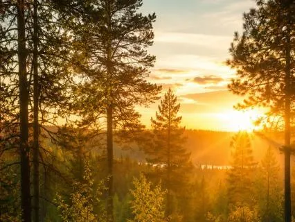 Morning Prayer: Let Something Beautiful Happen Today