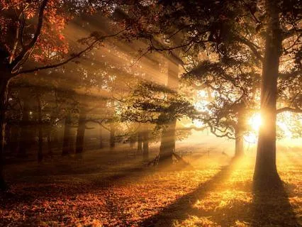 Morning Prayer: Let The Sun Rise