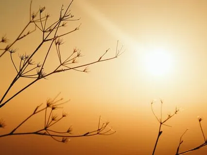 Morning Prayer: Make Me Better!