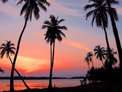 Morning Prayer Of Gratitude To God | Start Your Day With God