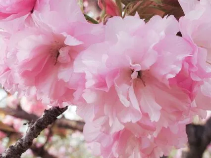 Morning Prayer Of Gratitude