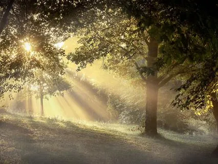 Morning Prayer – Oh Lord, Lead Me Today